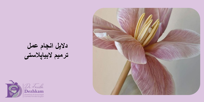 عمل ترمیم لابیاپلاستی