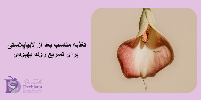 تغذیه بعد از لابیاپلاستی