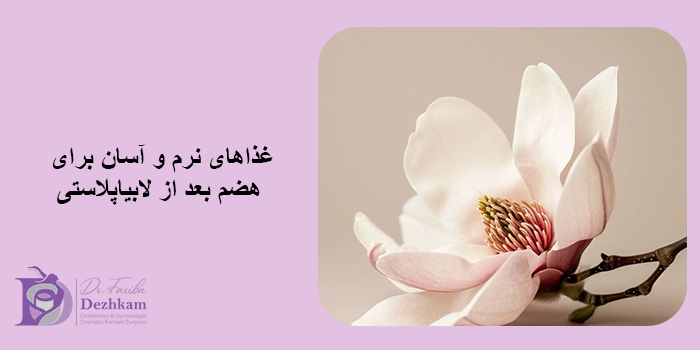 تغذیه بعد از لابیاپلاستی