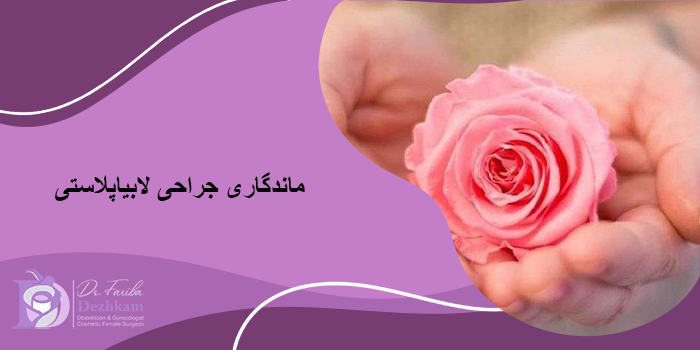 ماندگاری جراحی لابیاپلاستی