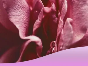 عوارض تزریق چربی به واژن