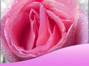 لابیاپلاستی همزمان با سزارین