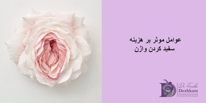 راههای کاهش هزینه سفید کردن واژن